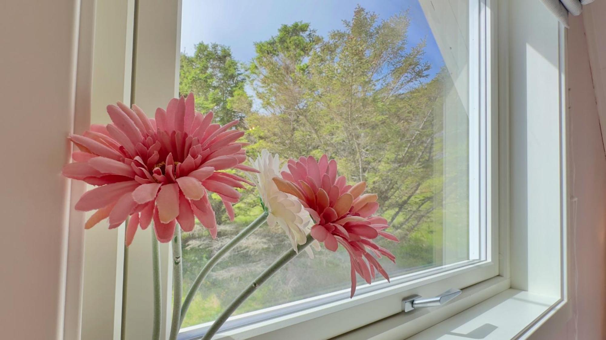 Seaview Holiday Home - Fredvang Dış mekan fotoğraf